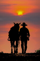 The silhouette of the cowboy and the setting sunset - 466293367