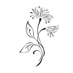 ornament 2037. two stylized flowers on stems with leaves. graphic decor