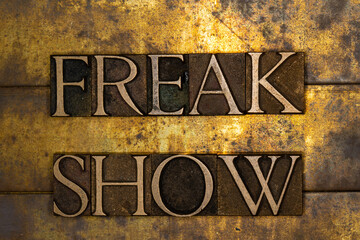 Freak Show text message on textured grunge copper and vintage gold background