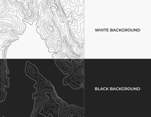 topographic map on white and black background. bay and peninsula contour maps. cartography vector patterns