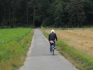 Fototapeta premium Going in the woods