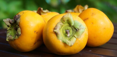 View of persimmon fruit in Sapanca, Sakarya, Turkey.