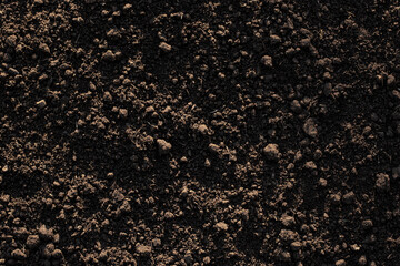 Fertile loam soil suitable for planting, soil texture background.