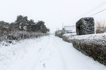 A freshly snow covered country road with footprints leading off in to the distance
