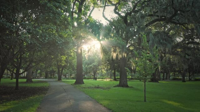 Aerial: Spanish Moss And Oak Trees In Forsyth Park with light rays shining through the trees. Savannah, Georgia, Usa.