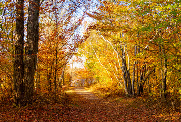 Autumn at Tobyhanna State Park in Pennsylvania