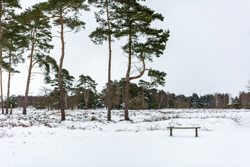 A beautiful landscape view of open British heathland with a empty snow covered bench during a rare heavy snowstorm