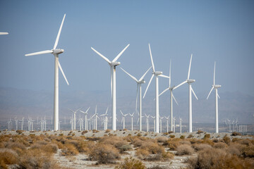 A Wind Farm Near Whitewater Pass in California making Electricity From the Wind Using Dynamo Electric Generators