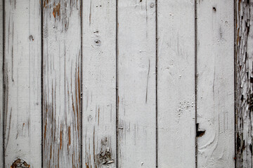 Grey wooden wall. Macro shot.