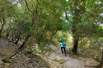 Obraz premium Young woman walking in forest