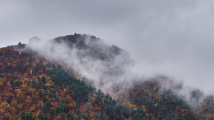 Brouillard d'une journée de pluie qui descend sur une colline boisée aux couleurs d'automne dans...