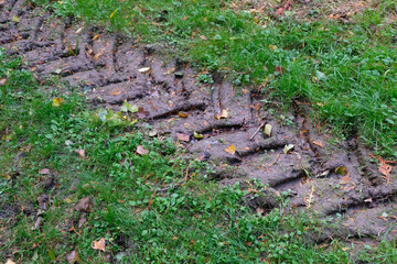 Trace de pneu dans l'herbe en gros plan