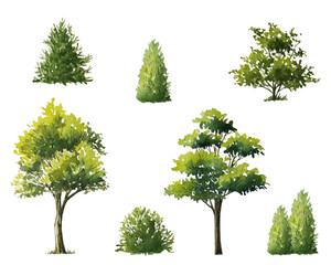 Obraz premium watercolor tree side view isolated on white background for landscape and architecture layout drawing, elements for environment and garden
