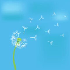 The dandelion against the sky. Vector illustration