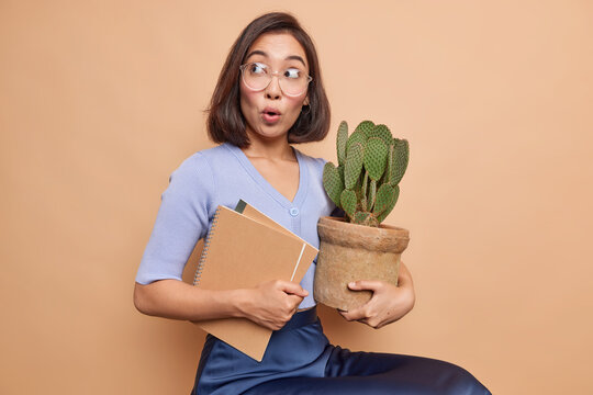 Shocked bruette schoolgirl looks with stunned expression away holds paper notepads and potted cactus cannot believe her eyes wears big spectacles jumper and skirt poses against beige background