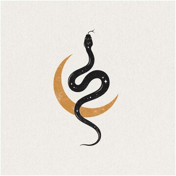 Serpent and moon vintage paper hand drawn illustration spiritual mystic clipart design