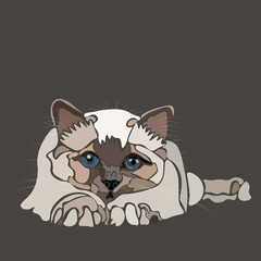 White cat with blue eyes on a gray background, abstraction