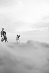 young couple in orange clothes with dog