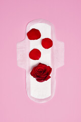 cotton sanitary pad napkin on pink background with red rose, menstruation concept