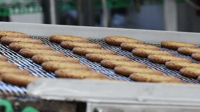 conveyor with cookies with filling at a confectionery factory
