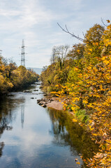 Münchenstein, Birs, Fluss, Birstal, Baselland, Arlesheim, Reinach, Wald, Waldweg, Auwald, Uferweg,...