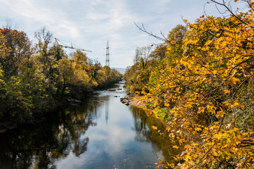 Fototapeta premium Münchenstein, Birs, Fluss, Birstal, Baselland, Arlesheim, Reinach, Wald, Waldweg, Auwald, Uferweg, Wanderweg, Renaturierung, Herbst, Herbstfarben, Herbstlaub, Herbstsonne, Dorf, Basel, Schweiz