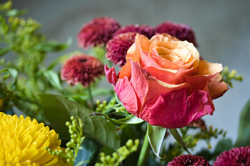 Close up of a fresh orange rose on a background of yellow and red chrysanthemum petals and green leaves. Colorful autumn flowers bouquet with selective focus