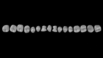 Lined in Dental Crowns for chewing teeth, in black white style on black background