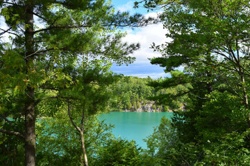Pink lake in Gatineau Park, surrounded by lush green foliage