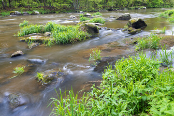 river Sazava near Smrcna, Czech Republic
