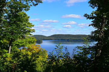 Fototapeta na wymiar Lake with cloudy sky, surrounded by lush green foliage, in Algonquin Park, Canada