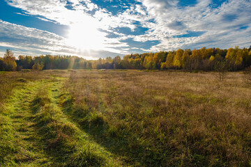 Obraz premium The rays of the sun illuminate the road overgrown with green grass among dry grass.