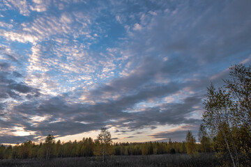 Beautiful evening cloudy sky with the tops of autumn trees.
