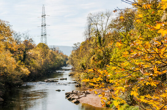 M&uuml;nchenstein, Birs, Fluss, Birstal, Baselland, Arlesheim, Reinach, Wald, Waldweg, Auwald, Uferweg, Wanderweg, Renaturierung, Herbst, Herbstfarben, Herbstlaub, Herbstsonne, Dorf, Basel, Schweiz