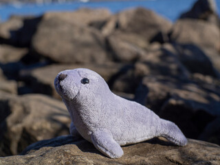 Cute seal toy by the ocean