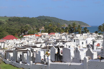 Cemetery Sainte Marie Martinique Antilles Française