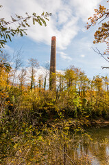 Münchenstein, Birs, Fluss, Birstal, Baselland, Arlesheim, Reinach, Wald, Waldweg, Auwald, Uferweg,...