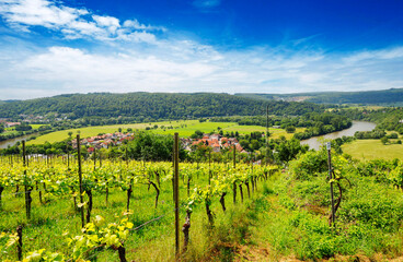Fototapeta premium The Neckar Valley, View from the Michelsberg, Gundelsheim, Baden-Württemberg in Germany, Europe