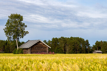 Obraz premium Finnish Countryside