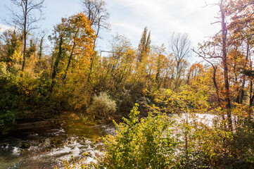 Münchenstein, Birs, Fluss, Birstal, Baselland, Arlesheim, Reinach, Wald, Waldweg, Auwald, Uferweg, Wanderweg, Renaturierung, Herbst, Herbstfarben, Herbstlaub, Herbstsonne, Dorf, Basel, Schweiz