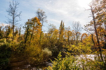 Münchenstein, Birs, Fluss, Birstal, Baselland, Arlesheim, Reinach, Wald, Waldweg, Auwald, Uferweg,...
