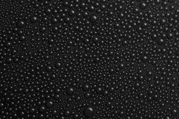 Water drops on black background texture. Dark backdrop glass covered with drops of water. black bubbles in water