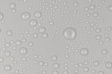 Water drops on white background texture. backdrop glass covered with drops of water. gray bubbles in water