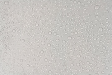 Water drops on white background texture. backdrop glass covered with drops of water. gray bubbles in water