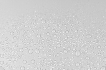 Water drops on white background texture. backdrop glass covered with drops of water. gray bubbles in water