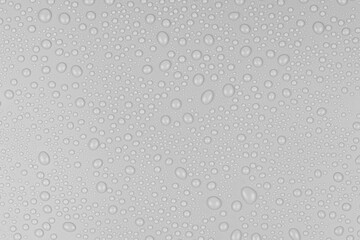 Water drops on white background texture. backdrop glass covered with drops of water. gray bubbles in water