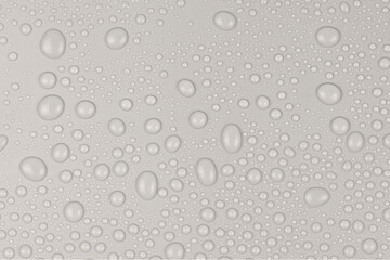 Water drops on white background texture. backdrop glass covered with drops of water. gray bubbles in water