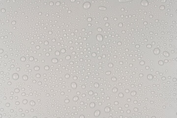 Water drops on white background texture. backdrop glass covered with drops of water. gray bubbles in water