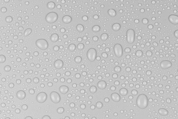 Water drops on white background texture. backdrop glass covered with drops of water. gray bubbles in water