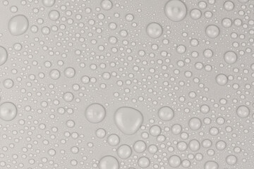 Water drops on white background texture. backdrop glass covered with drops of water. gray bubbles in water